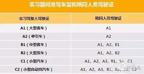 a2扣6分怎么处理 最新