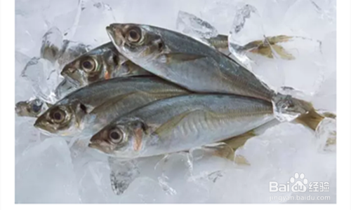 如何买到健康好吃的鱼？