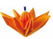 如何折一朵星星花