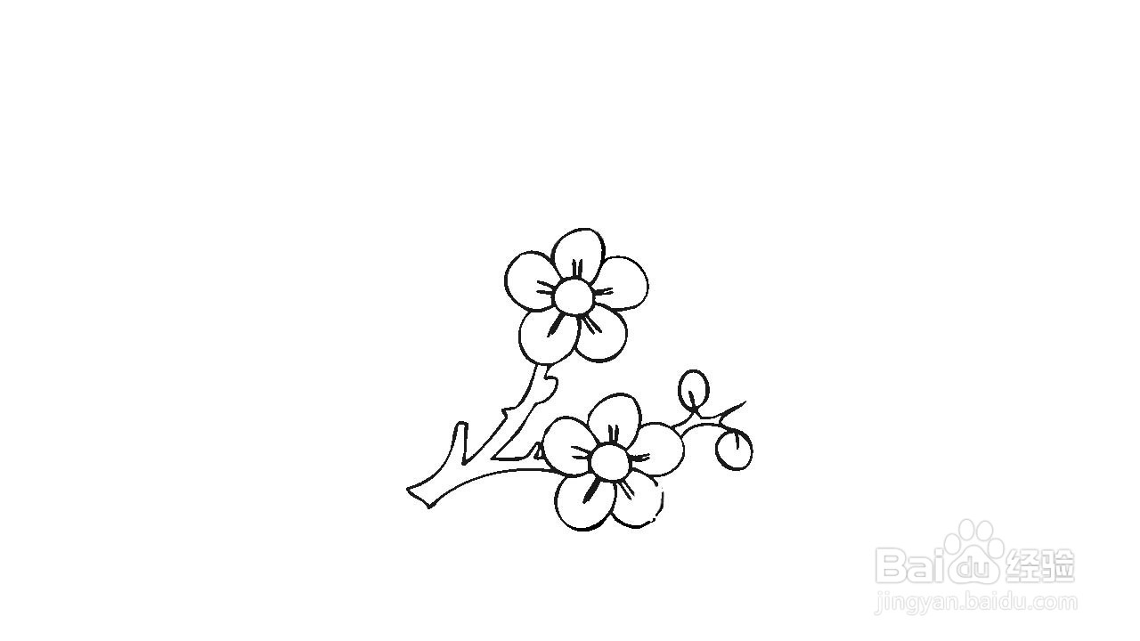 冬天腊梅简笔画