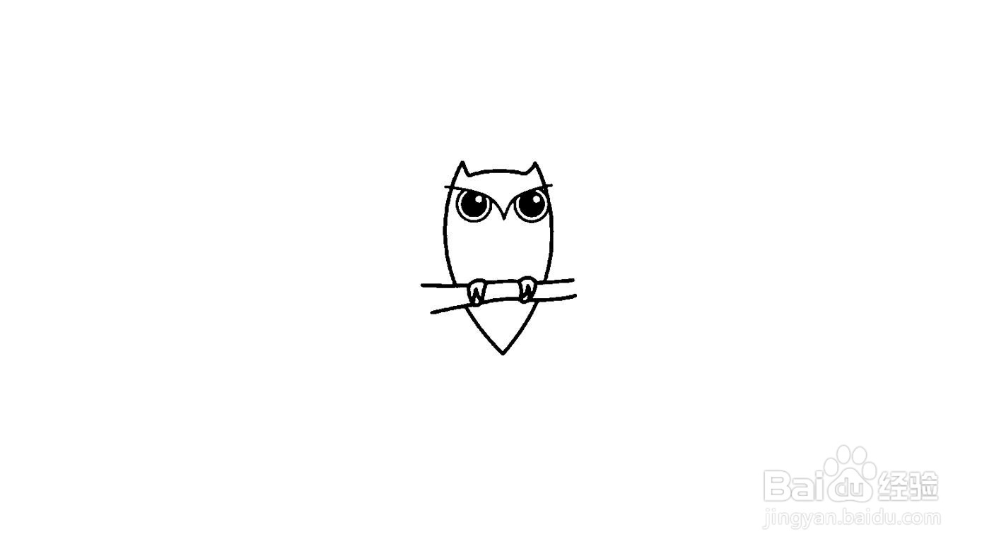 猫头鹰简笔画画法分解