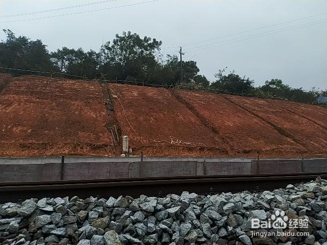 工程施工进场的防水卷材应检验哪些项目