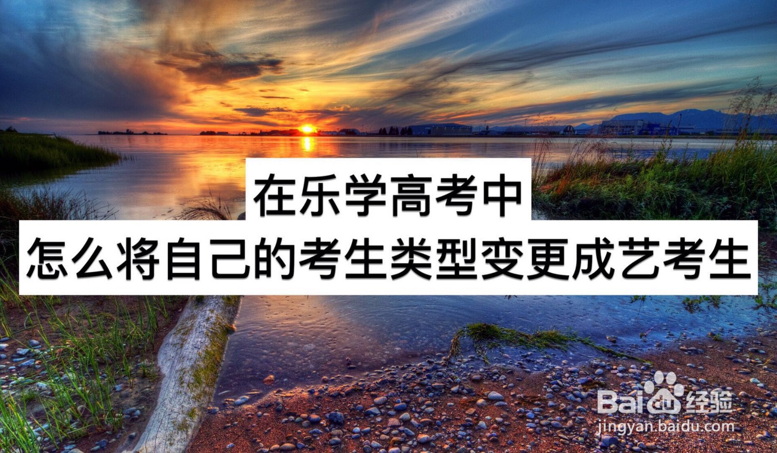 在乐学高考中怎么将自己的考生类型变更成艺考生