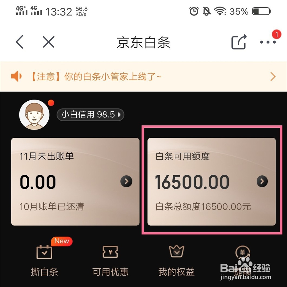 怎样使用京东白条支付