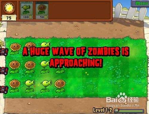 植物大战僵尸无敌版-小游戏教程