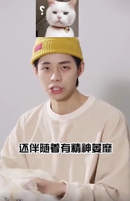 猫咪吐黄水怎么办