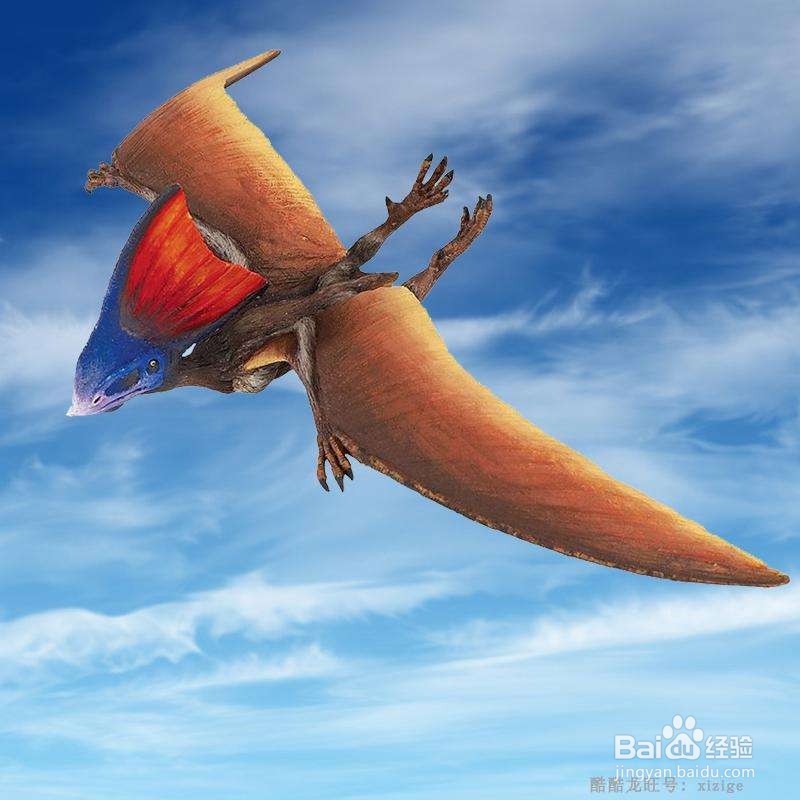 白垩纪天上飞的生物多大？