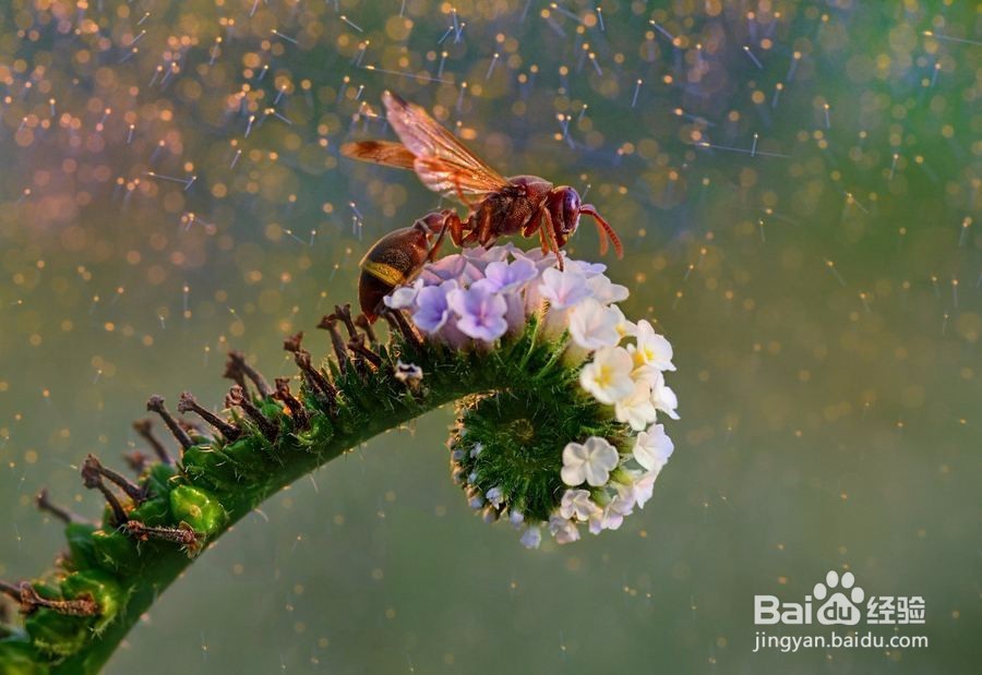 怎么坚持做好一件事