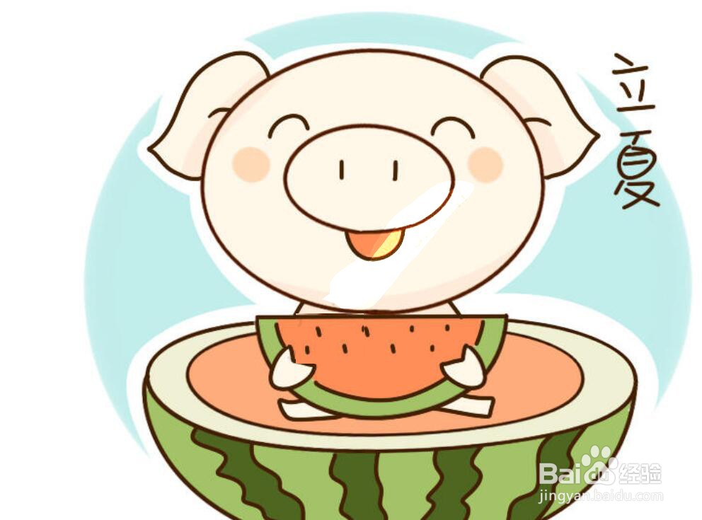 立夏小猪吃西瓜的简笔画