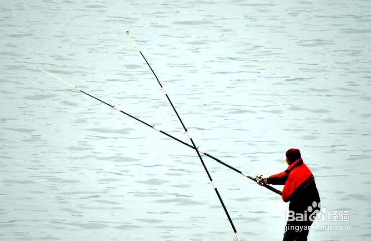 开春后怎么垂钓?初春天冷如何钓鱼