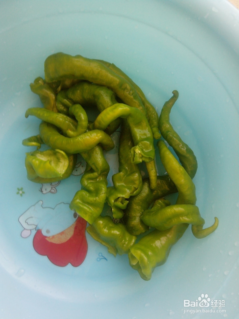 尖椒肥肠的详细做法