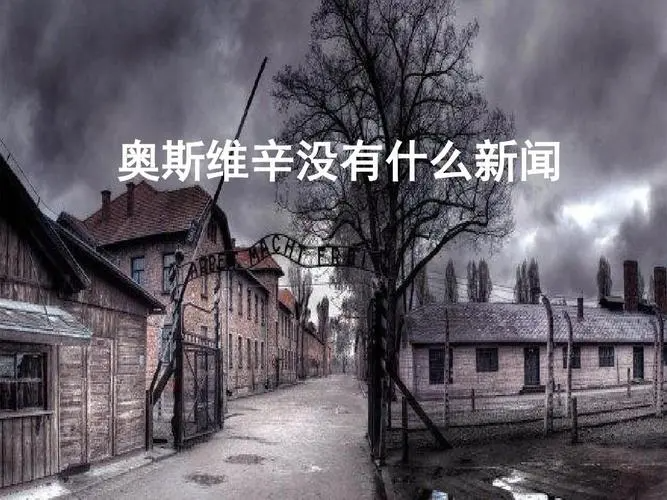 《奥斯维辛没有什么新闻》的教案是什么