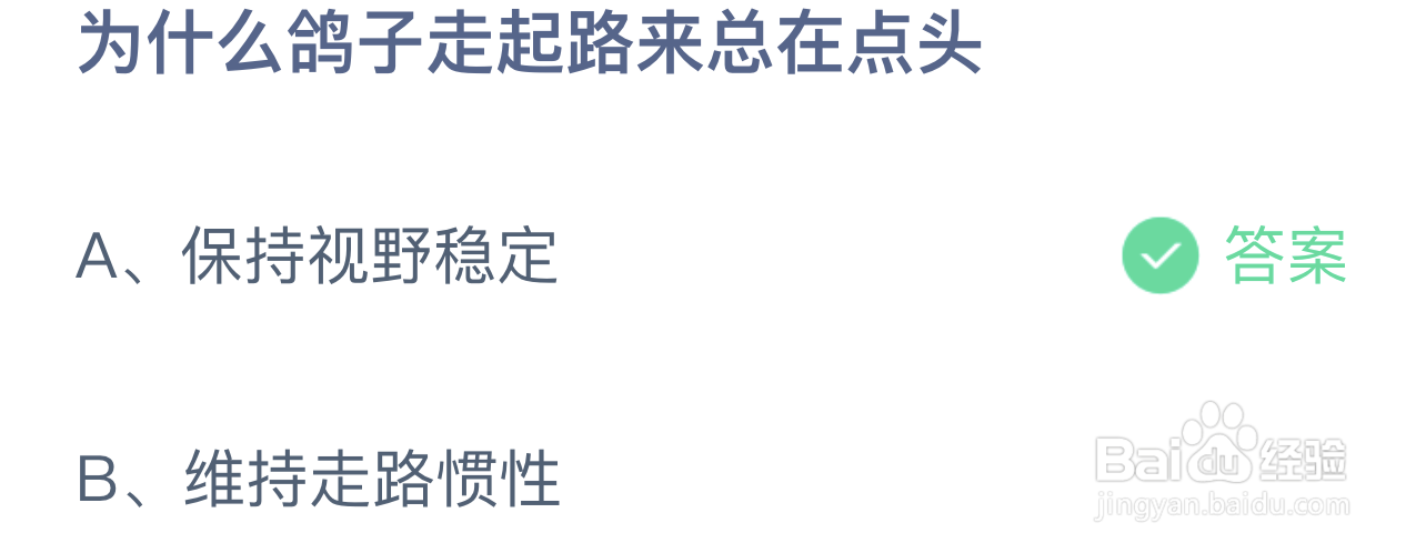 为什么鸽子走起路来总在点头？ 蚂蚁答案7.20