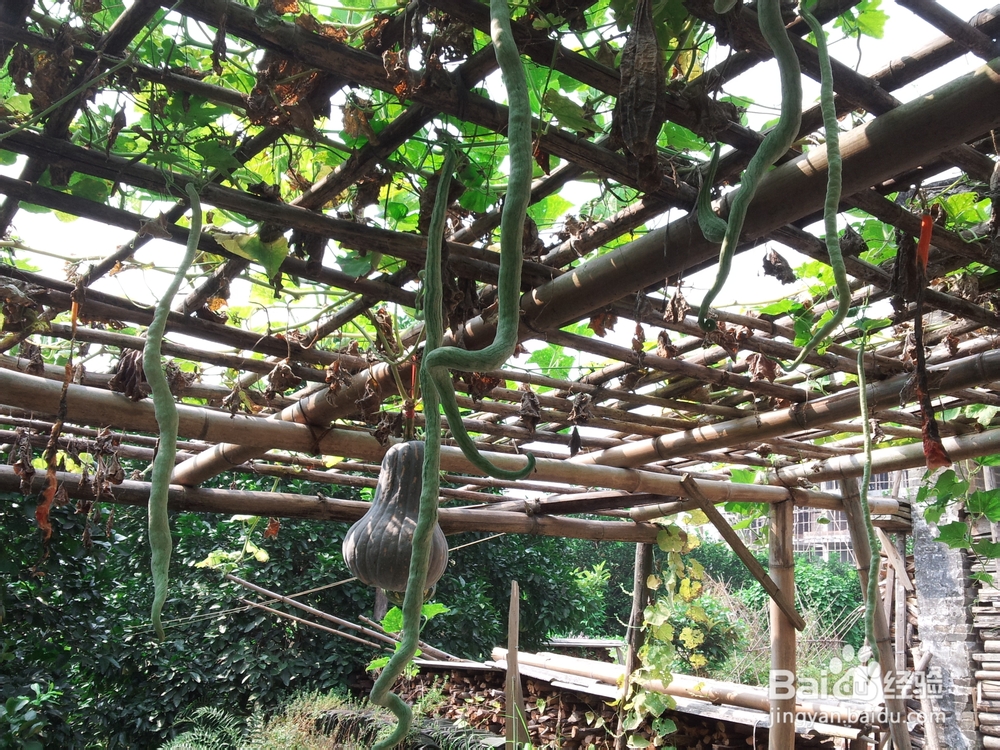 广西柳州三江侗族自治县游记：[2]丹洲古城