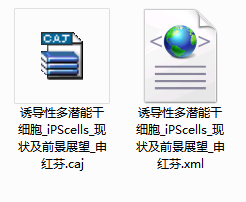 CAJ文件中的注释不见了