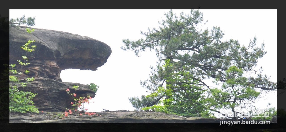 重庆到张家界自驾游线路