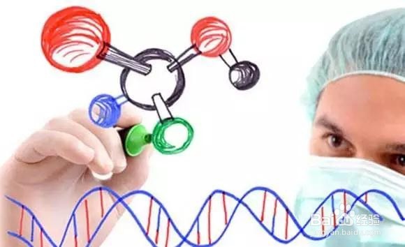 FDA验厂辅导,翻译和陪审