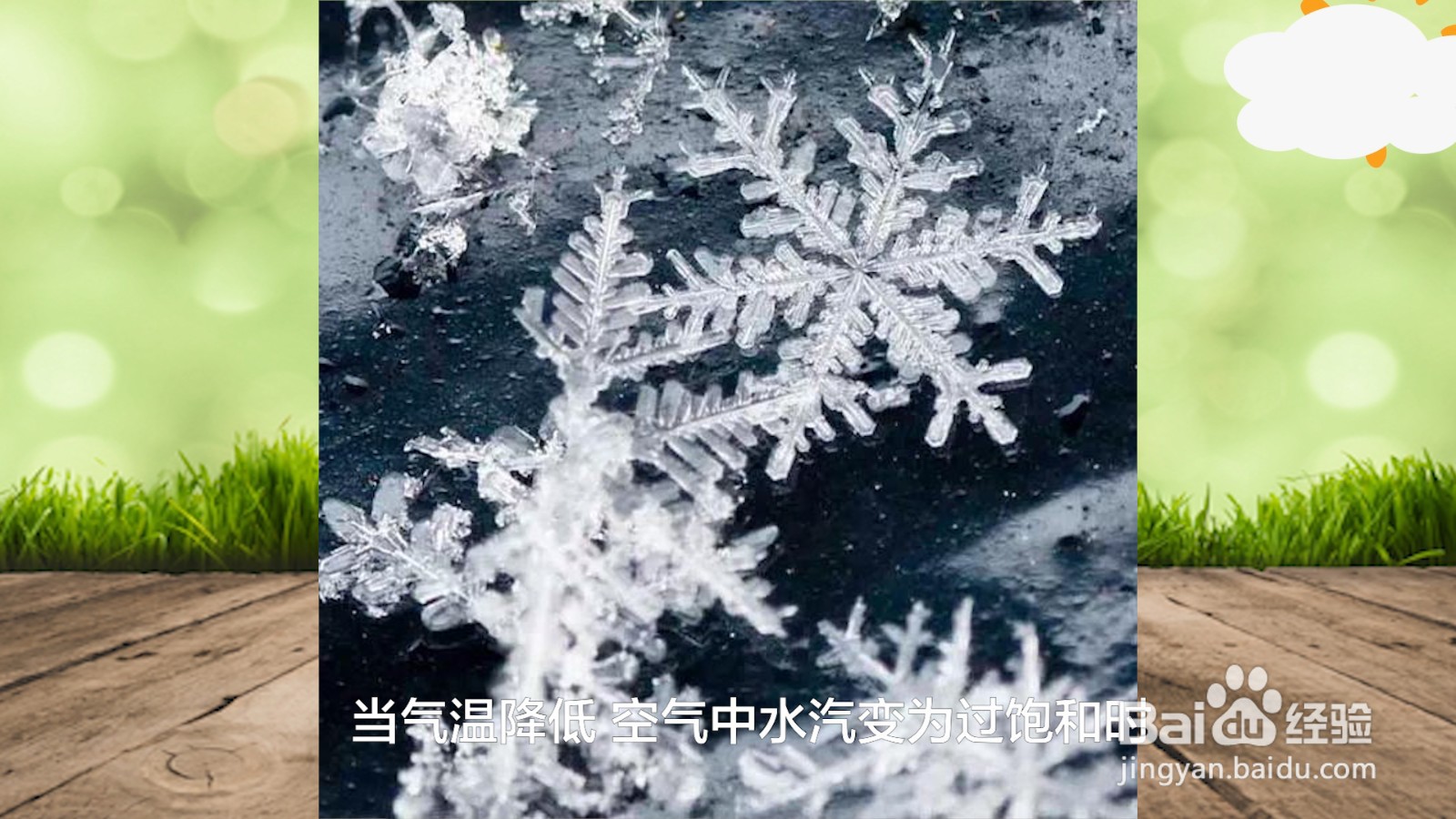 空中的水汽是怎样变成雪花的