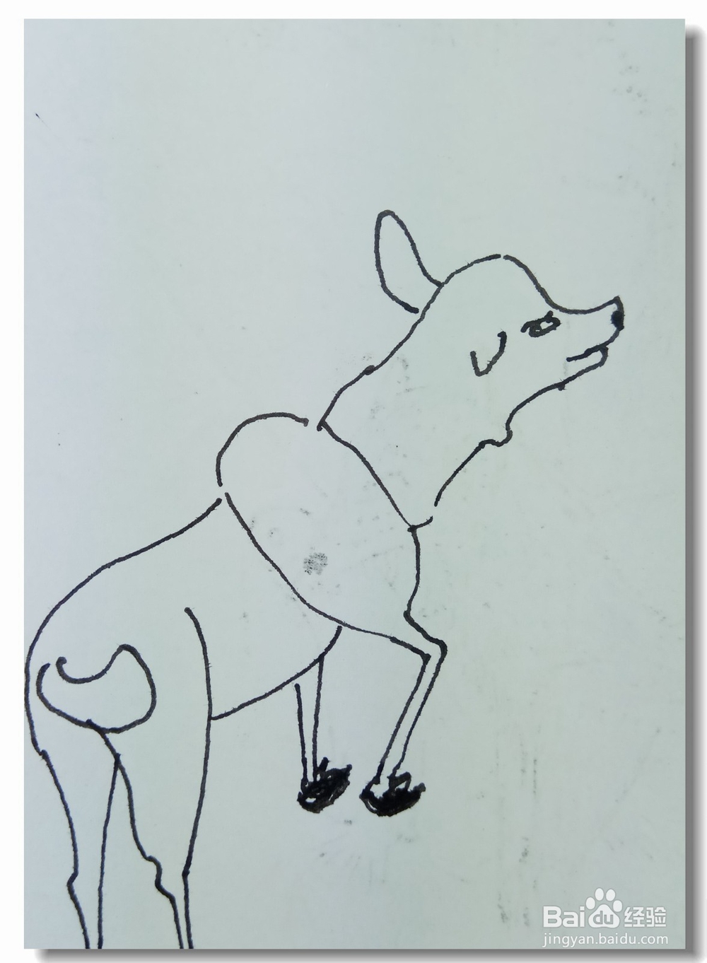 怎样画钢笔画“寻鹿”？