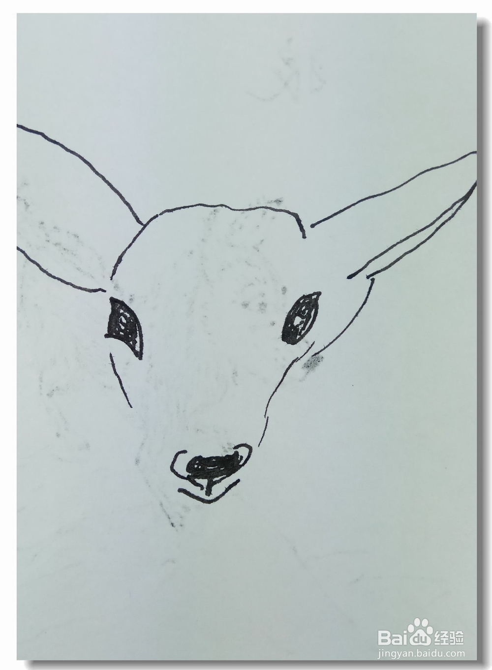 怎样画简笔画“小鹿头”