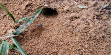 早上起来，面向太阳如何辨别方向