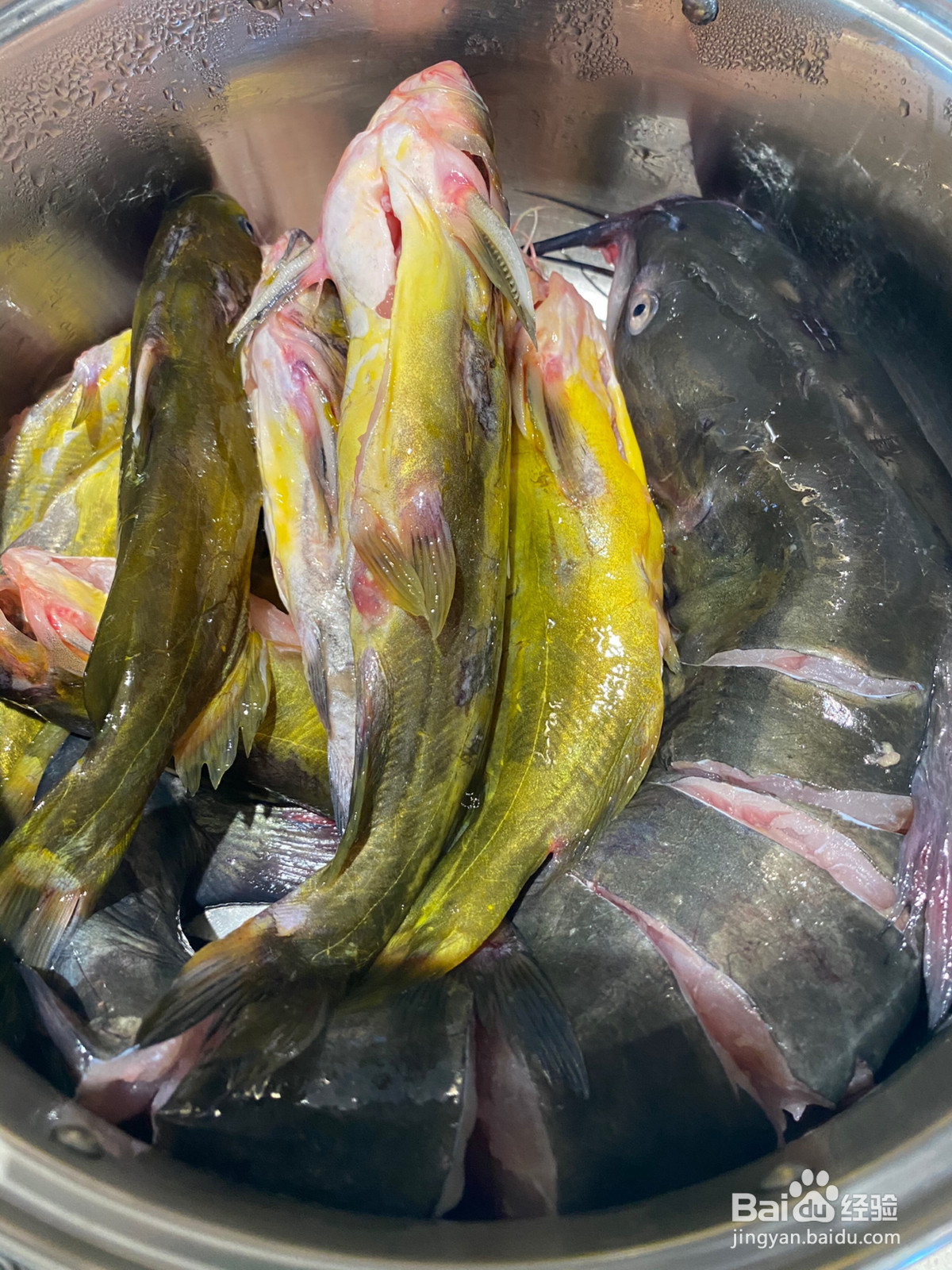 贵州红酸汤鱼的做法