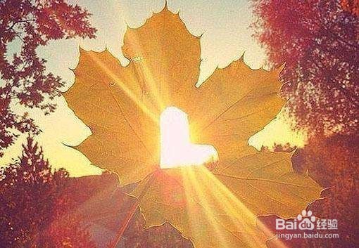 我们为什么要重视健康？