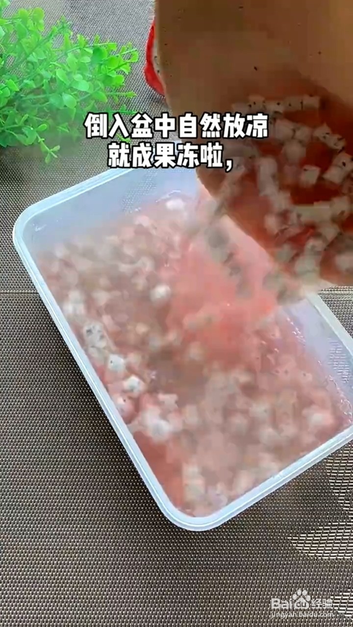 如何制作火龙果果冻