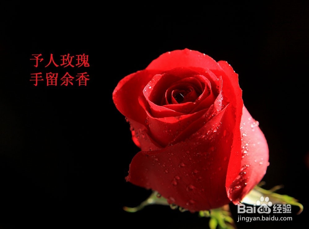 来月经了我们可以用什么神器