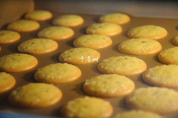 黑芝麻鸡蛋瓦片饼干
