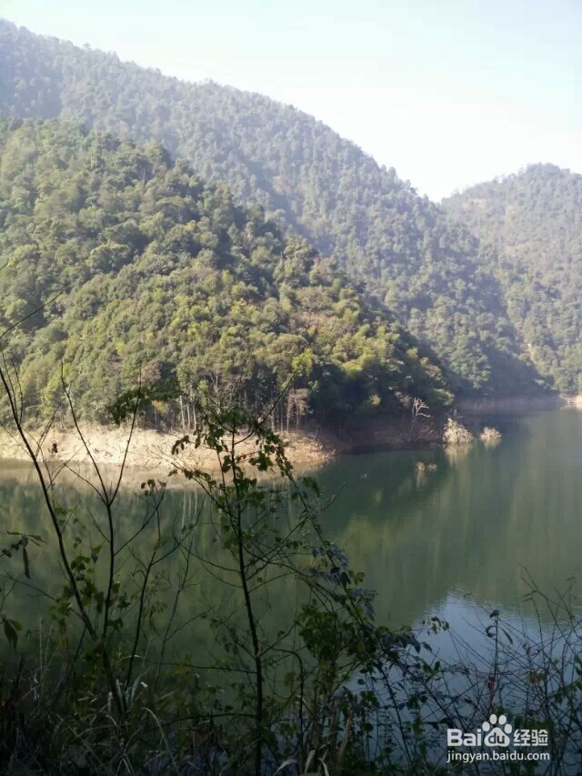 江西省马头山原始森林指南