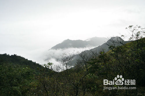 武功山公交线路