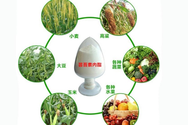芸苔素与复硝酚钠有什么异同点