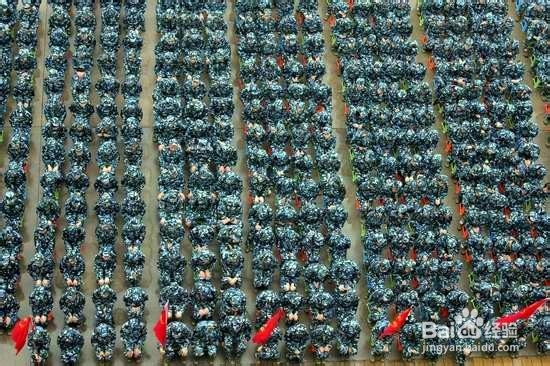 大学生活全攻略：[3]新生军训篇