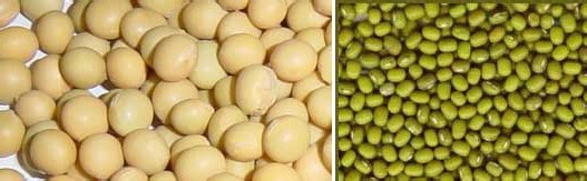 怎样作出多种美味的豆浆