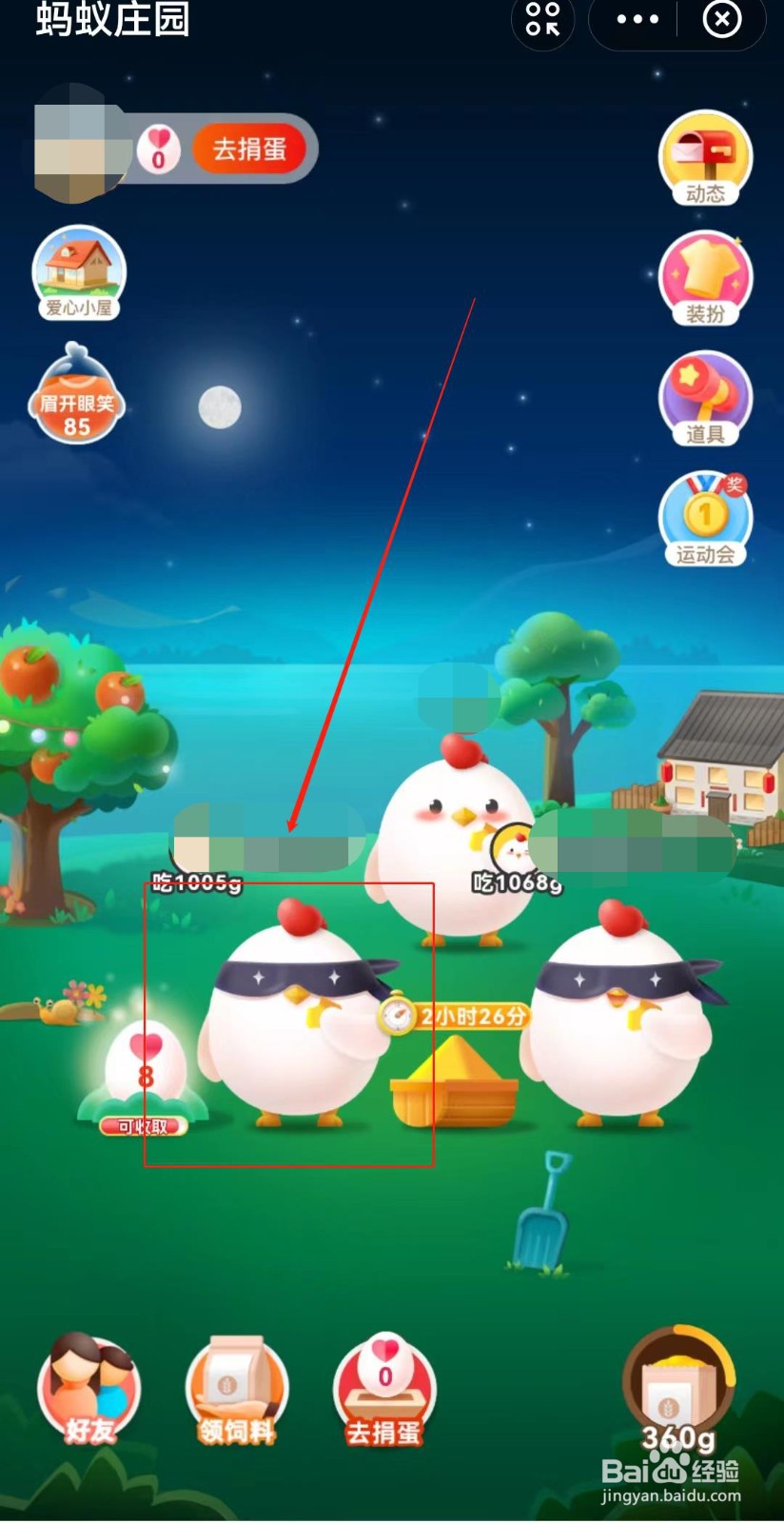 蚂蚁庄园如何雇佣别人的小鸡