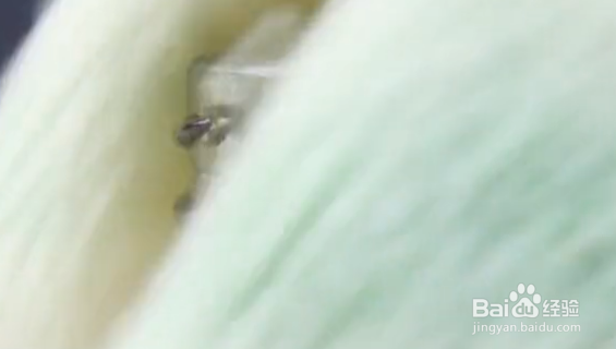 罐头快速打开的方法