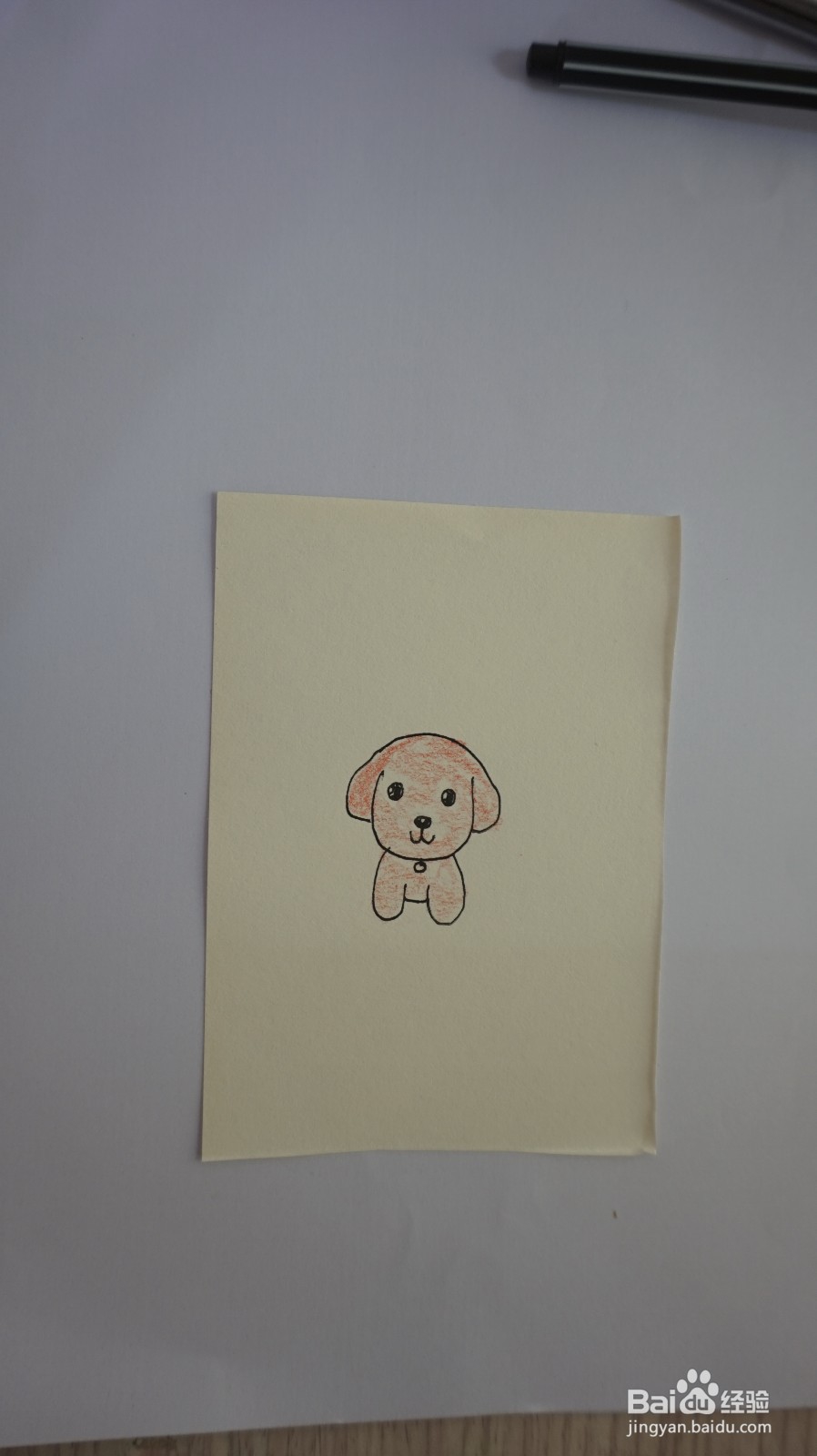 一起来画宠物狗的步骤