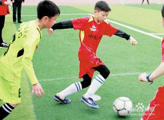 足球训练教程[图]