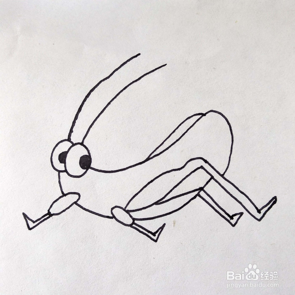 如何画一只有趣的蚱蜢/蝈蝈卡通简笔画
