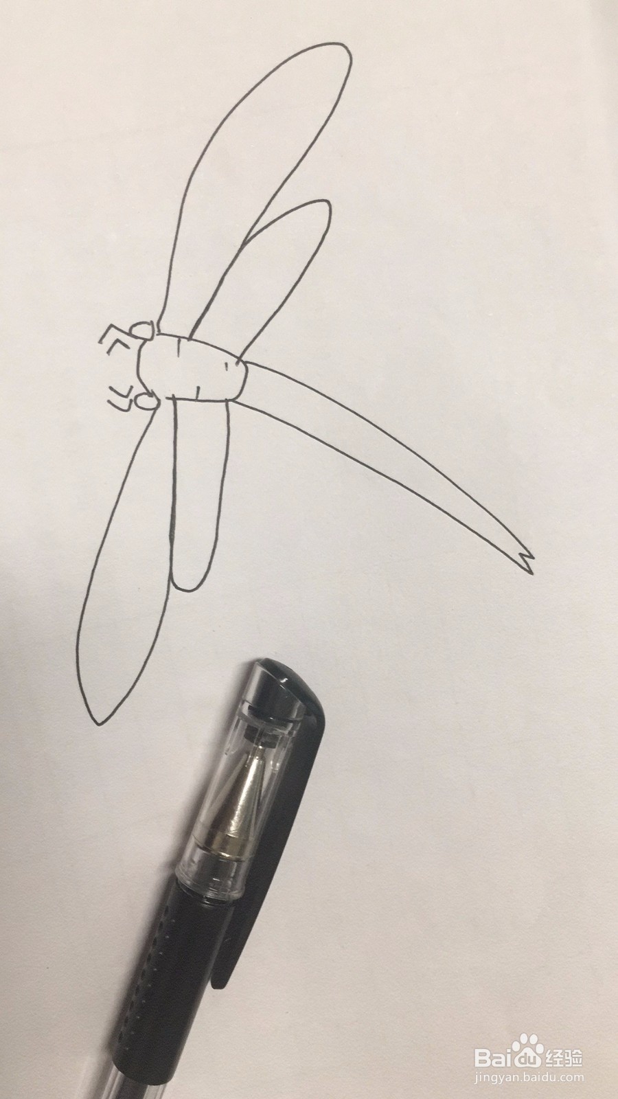 怎么快速地画一只可爱的小蜻蜓