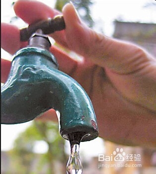 家庭消灭蟑螂的6种简单可行的方法