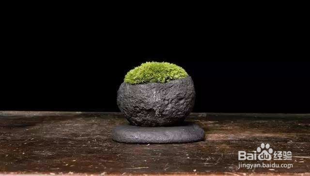 熟地怎么保存