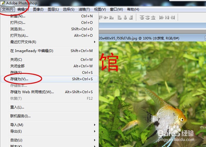 如何快速学会用photoshop修改照片