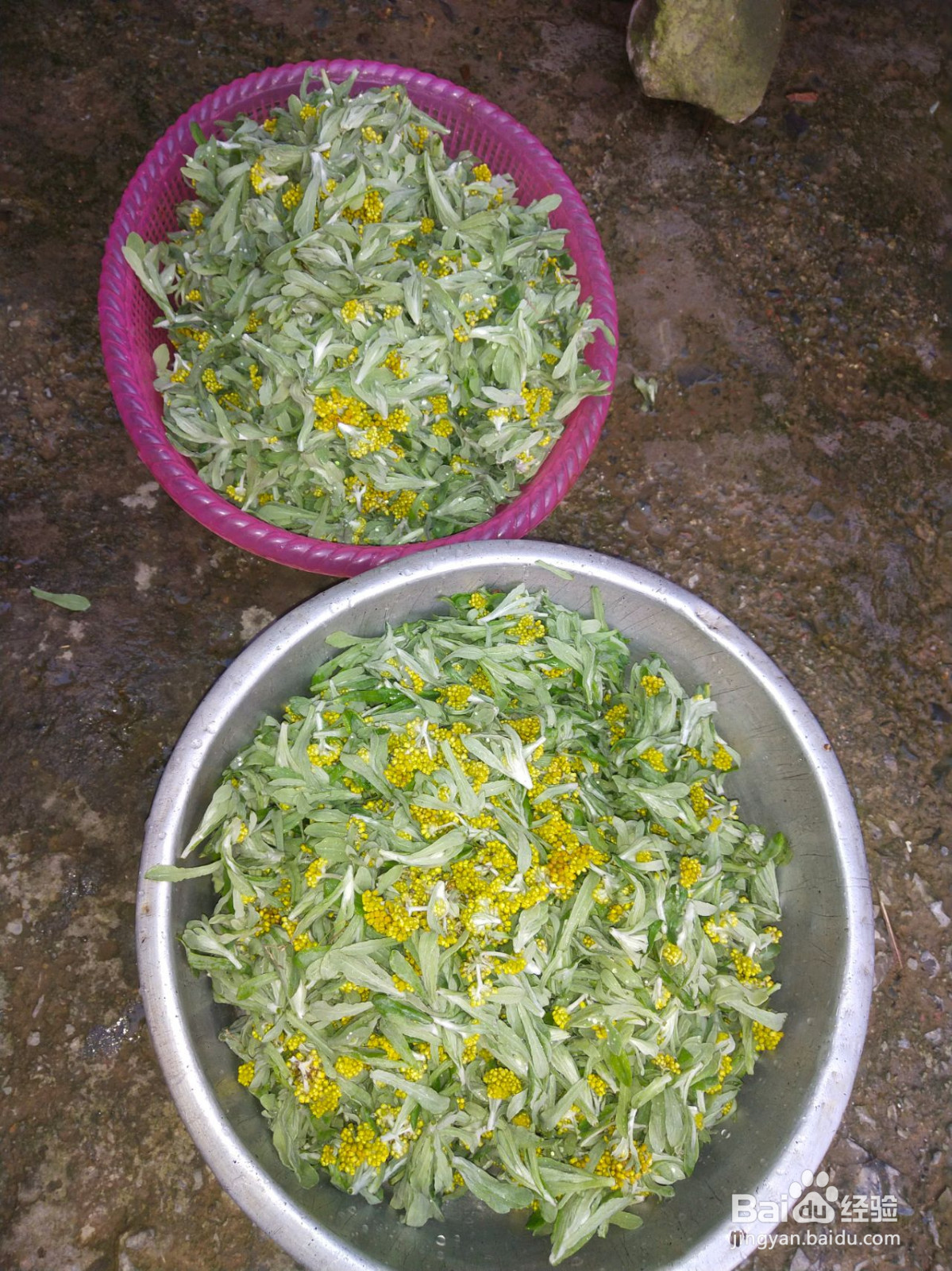 清明草粑粑的做法