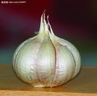 十种营养食物助您健康长寿