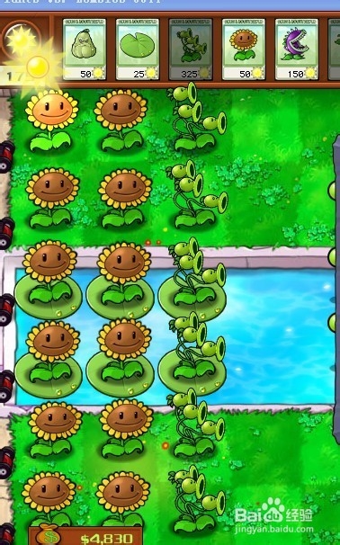 植物大战僵尸快速通关游戏攻略：[35]3-3.1