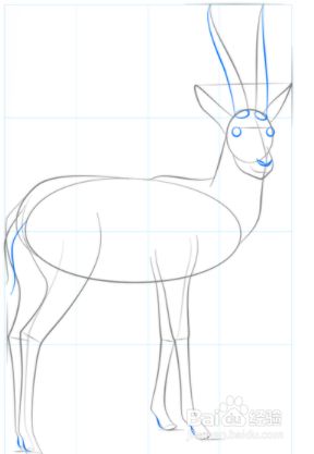 如何绘制羚羊