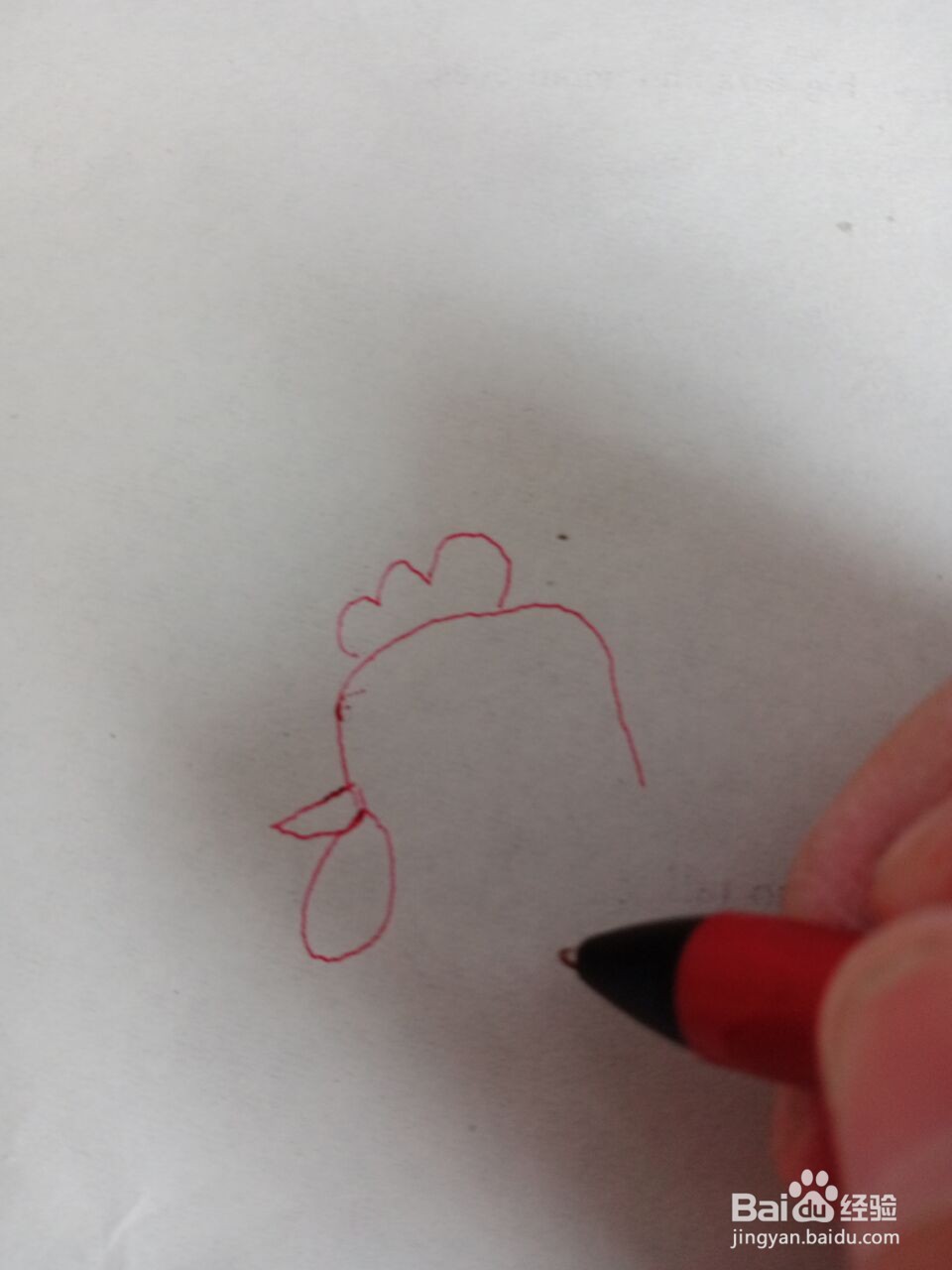 大公鸡的简笔画