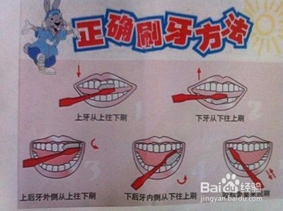 幼儿什么时候开始刷牙好